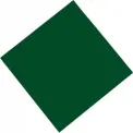 Fasana Dinner Napkin Green 400mm