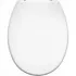Carrara and Matta Atlantic Spa Toilet Seat