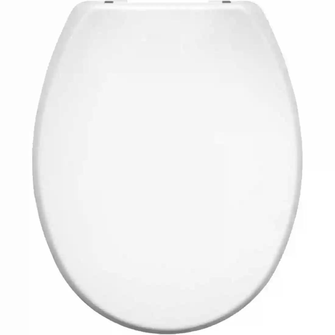 Carrara and Matta Atlantic Spa Toilet Seat
