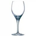 Chef & Sommelier Sensation Exalt Wine Glasses 250ml