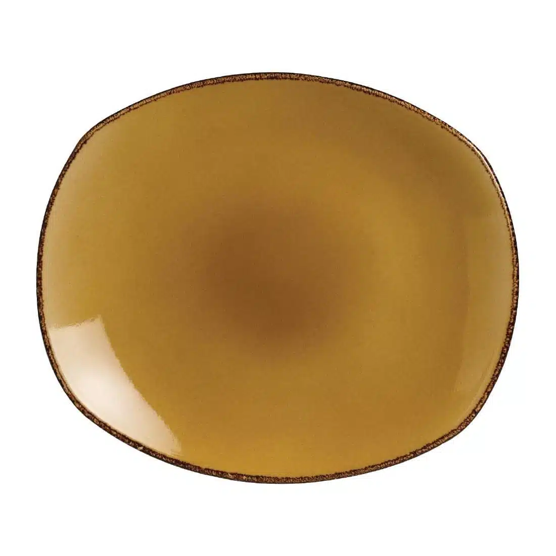 Steelite Terramesa Mustard Spice Plates 305mm