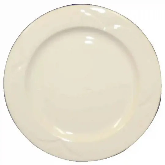Steelite Bianco Round Plates 269mm
