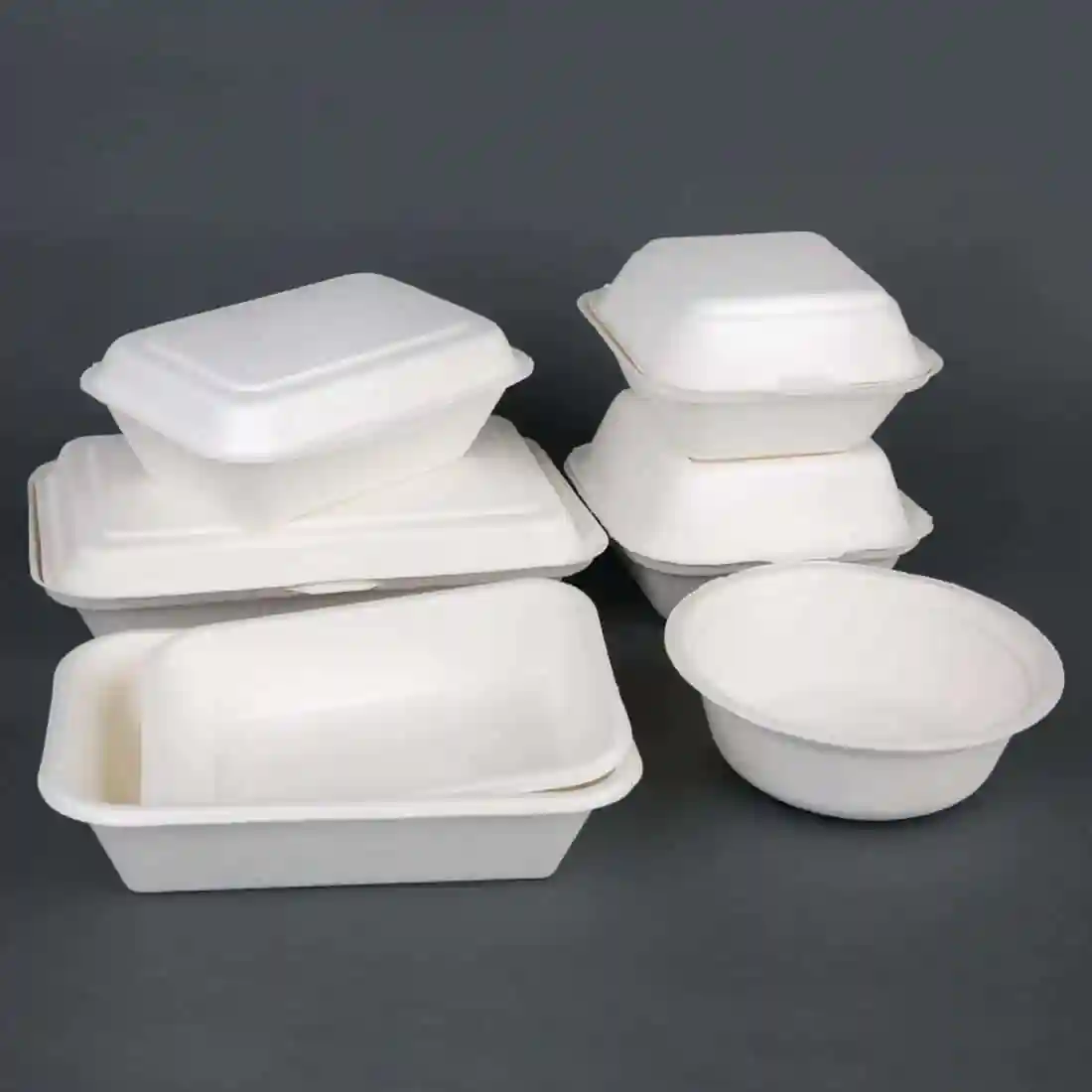 Fiesta Compostable Bagasse Bowls Round 18oz (Pack of 50) - Image 7