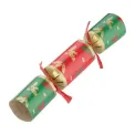 Fiesta Compostable Plastic-Free Christmas Crackers 9" (Pack of 50) - Image 1
