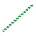 Fiesta Compostable Paper Smoothie Straws Green Stripes (Pack of 250) - Image 1