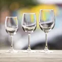 Olympia Rosario Wine Glasses 250ml (6 pack) - Image 7