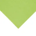 Fiesta Recyclable Lunch Napkin Kiwi 33x33cm 2ply 1/8 Fold (Pack of 2000) - Image 2