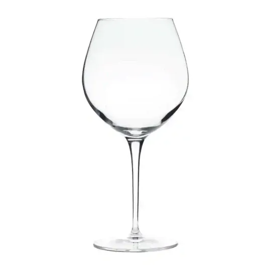 Luigi Bormioli Vinoteque Robusto Wine Glasses 660ml/23.25oz (Pack of 12)