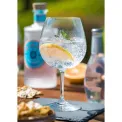 Utopia Eden Gin Glasses 680ml (12 Pack) - Image 2