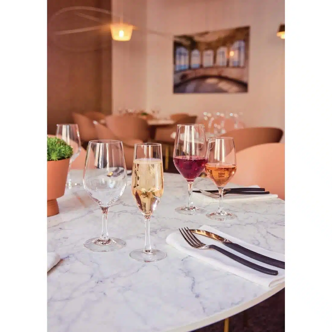 Chef & Sommelier Evidence Wine Glasses 270ml (24 pack) - Image 5