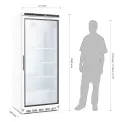Polar Display Fridge 600 Ltr