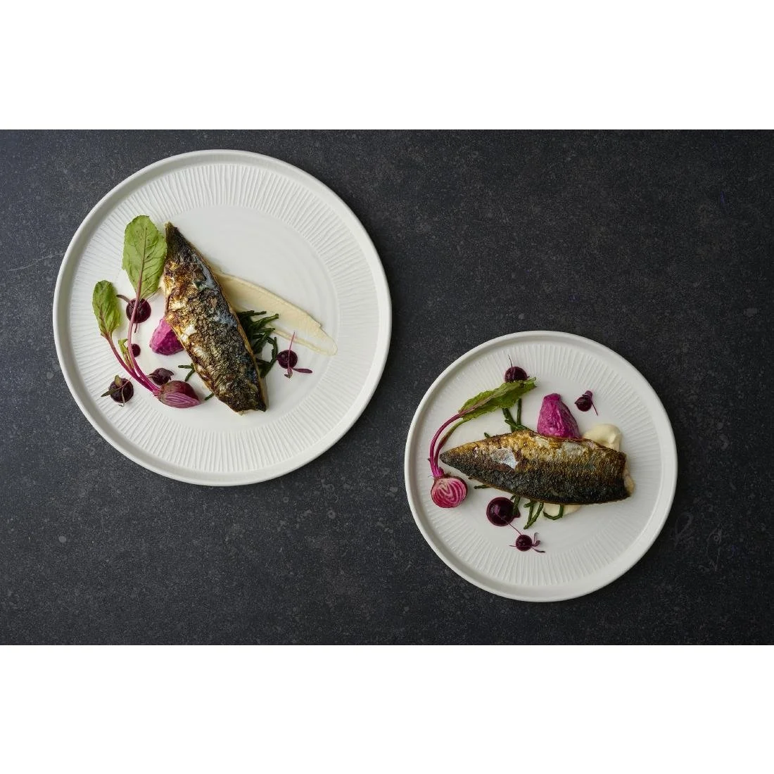 Churchill Bamboo White Walled Plates 260mm (6 Pack) - Image 2