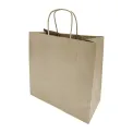 Fiesta Recyclable Twist Handle Brown Paper Bags Medium (250 Pack) - Image 1