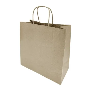 Fiesta Recyclable Twist Handle Brown Paper Bags Medium (250 Pack)
