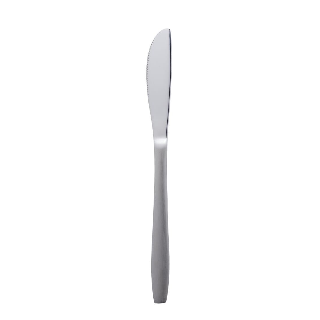 Amefa Amsterdam Table Knife