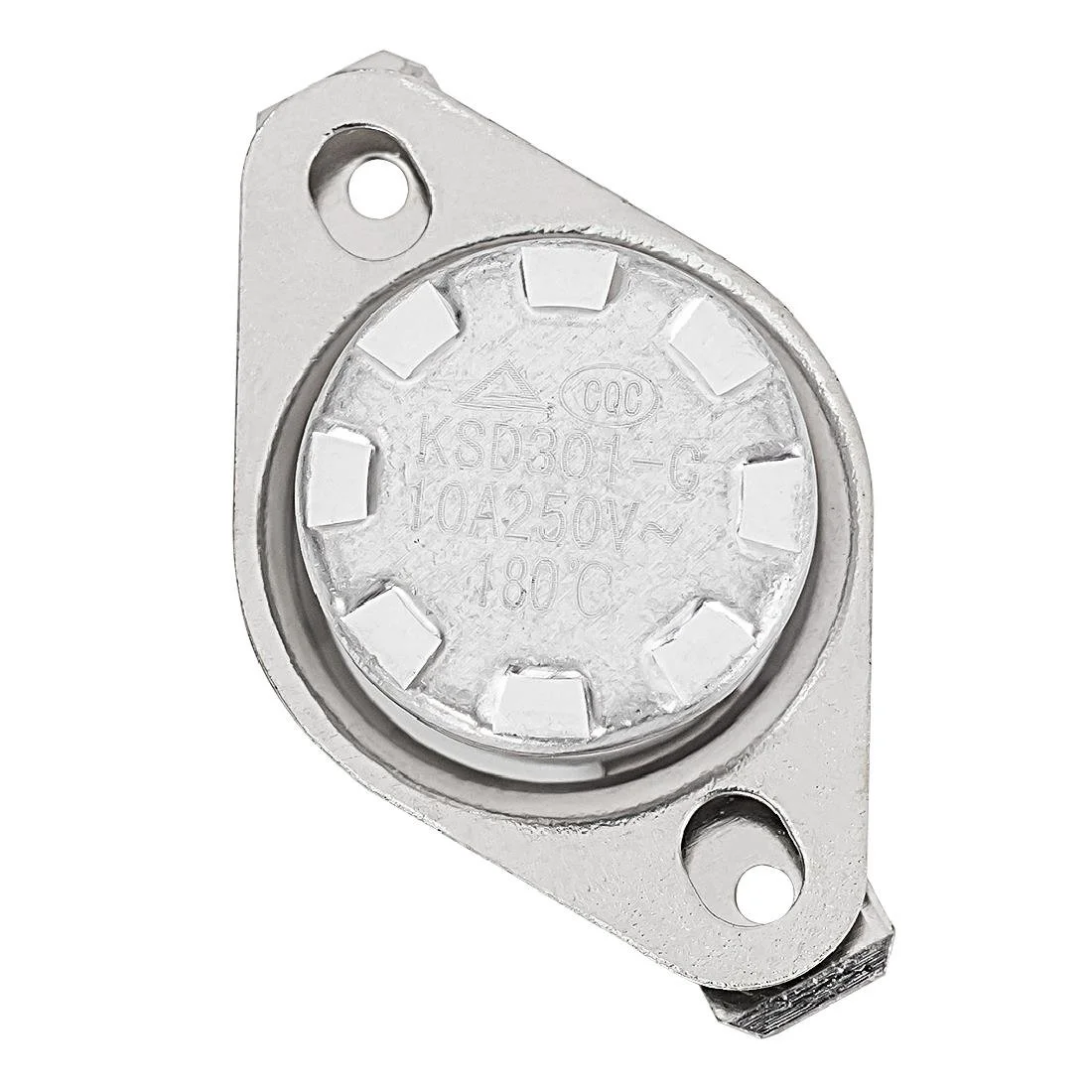 Buffalo Temperature Controller for Steam