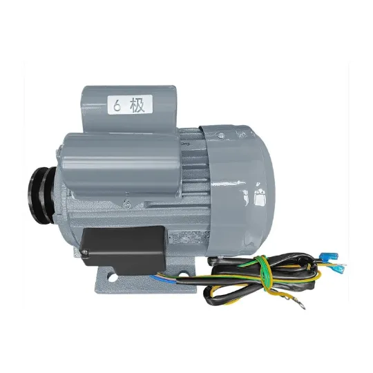 Polar Electric Motor