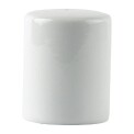 Athena Hotelware Salt Shakers