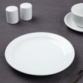 Athena Hotelware Narrow Rimmed Plates 205mm
