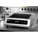 Buffalo Heavy Duty Induction Hob 3kW