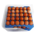 Araven Airtight Container with 4 Egg Trays GN 2/3 200mm - Image 4