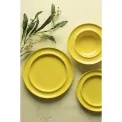 Olympia Heritage Raised Rim Plates Yellow 203mm (4 Pack) - Image 7