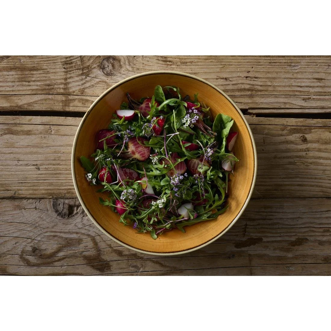 Churchill Stonecast Tangerine Coupe Bowls 248mm (12 Pack) - Image 4