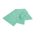 EcoTech Envirowipe Antibacterial Compostable Cleaning Cloths Green (25 Pack) - Image 1