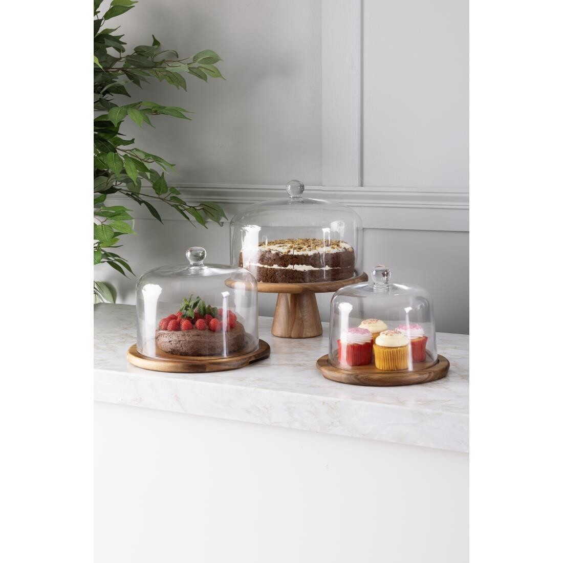 Olympia Glass Cake Stand Dome