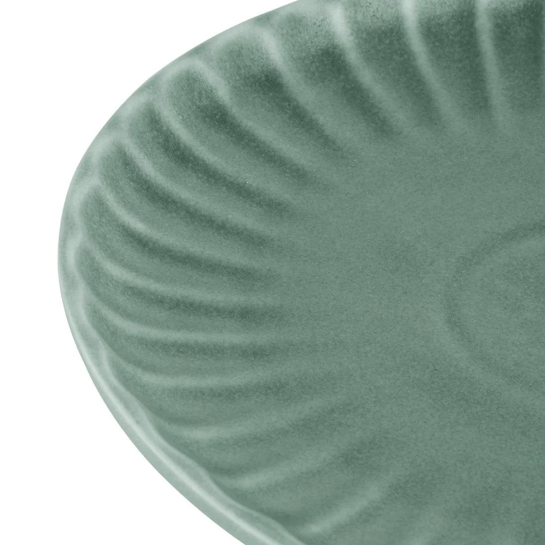 Olympia Corallite Plates Green 280mm (6 Pack) - Image 4
