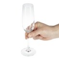 Olympia Modale Crystal Champagne Flutes 215ml