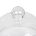 Glass Cloche 210mm