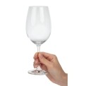 Schott Zwiesel Ivento Red Wine glass 480ml