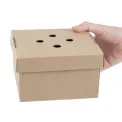 Fiesta Compostable Fold-Out Burger Boxes (100 Pack) - Image 5