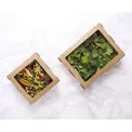 Vegware Salad Boxes with Window Kraft Medium 650ml (300 Pack) - Image 3