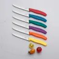 Victorinox Swiss Classic Tomato/Table Knife Wavy Edge Green 11cm - Image 2