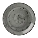 Steelite Smoke Coupe Plates 300mm (12 Pack) - Image 3