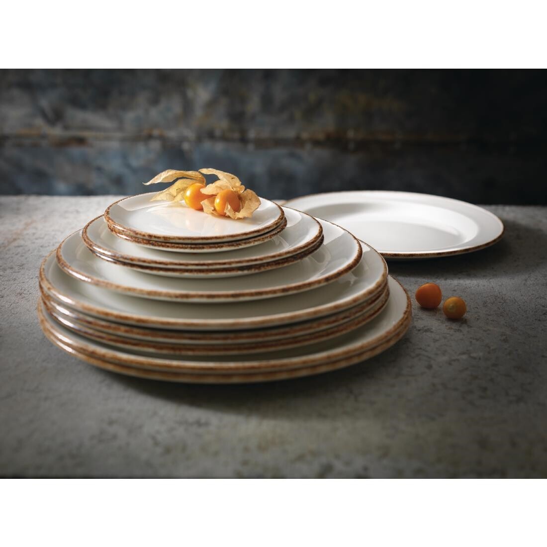 Steelite Brown Dapple Coupe Plates 300mm