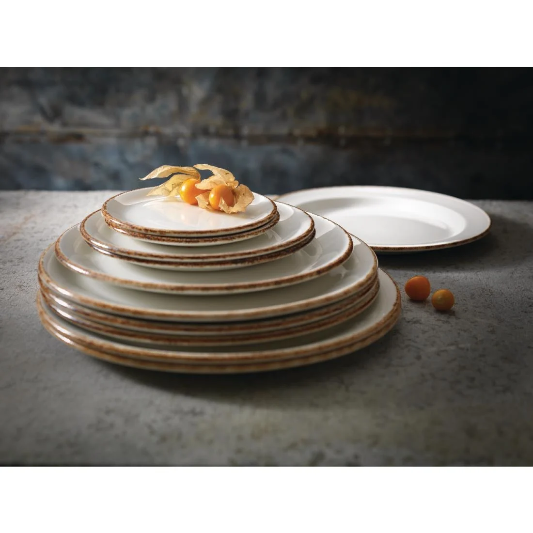 Steelite Brown Dapple Coupe Plates 280mm