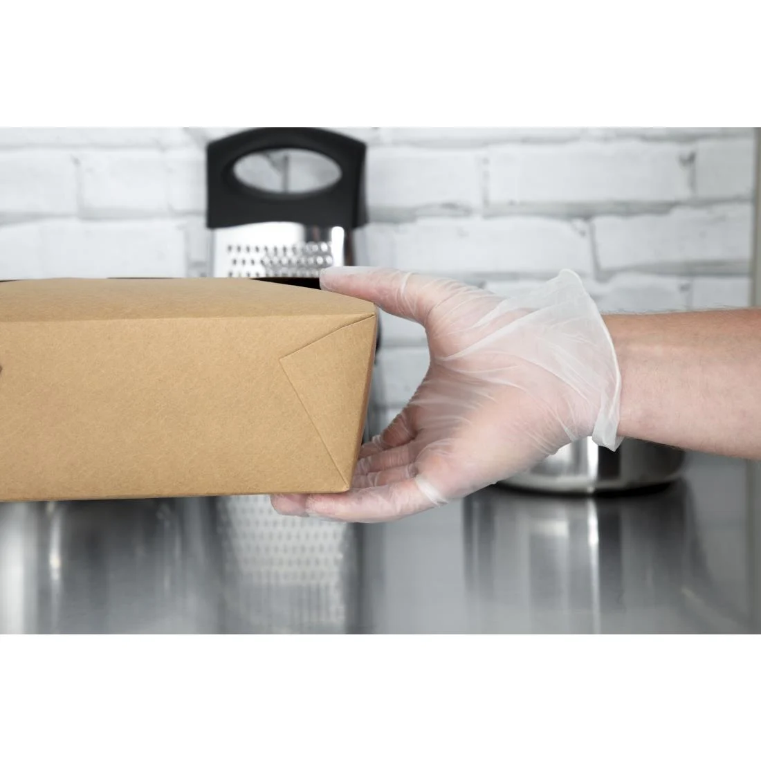 Powder Free Vinyl Gloves XL