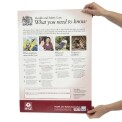 Health & Safety Law Poster A2