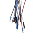 Buffalo 600 Series Internal Wiring Group - Image 2