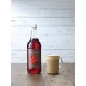 Sweetbird Chilli Syrup 1Ltr - Image 2