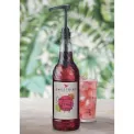Sweetbird Dragonfruit and Papaya Syrup 1Ltr - Image 2