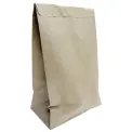 Fiesta Recyclable Sealable Takeaway Bags Large (250 Pack) - Image 1