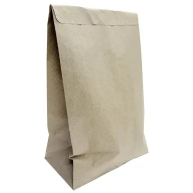 Fiesta Recyclable Sealable Takeaway Bags Large (250 Pack)