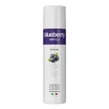 ODK Blueberry Fruity Mix 750ml - Image 1